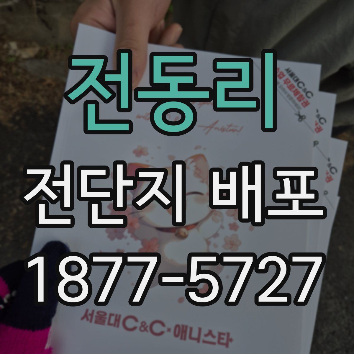 전동리 전단지 배포