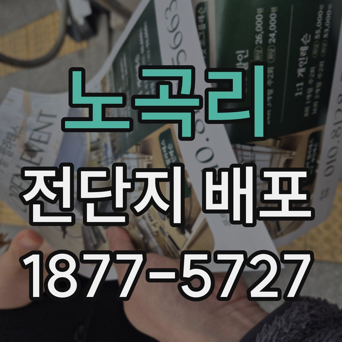노곡리 전단지 배포