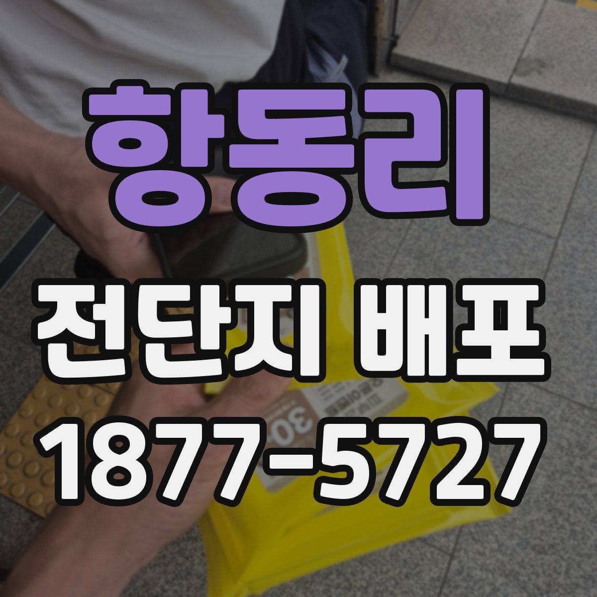 항동리 전단지 배포
