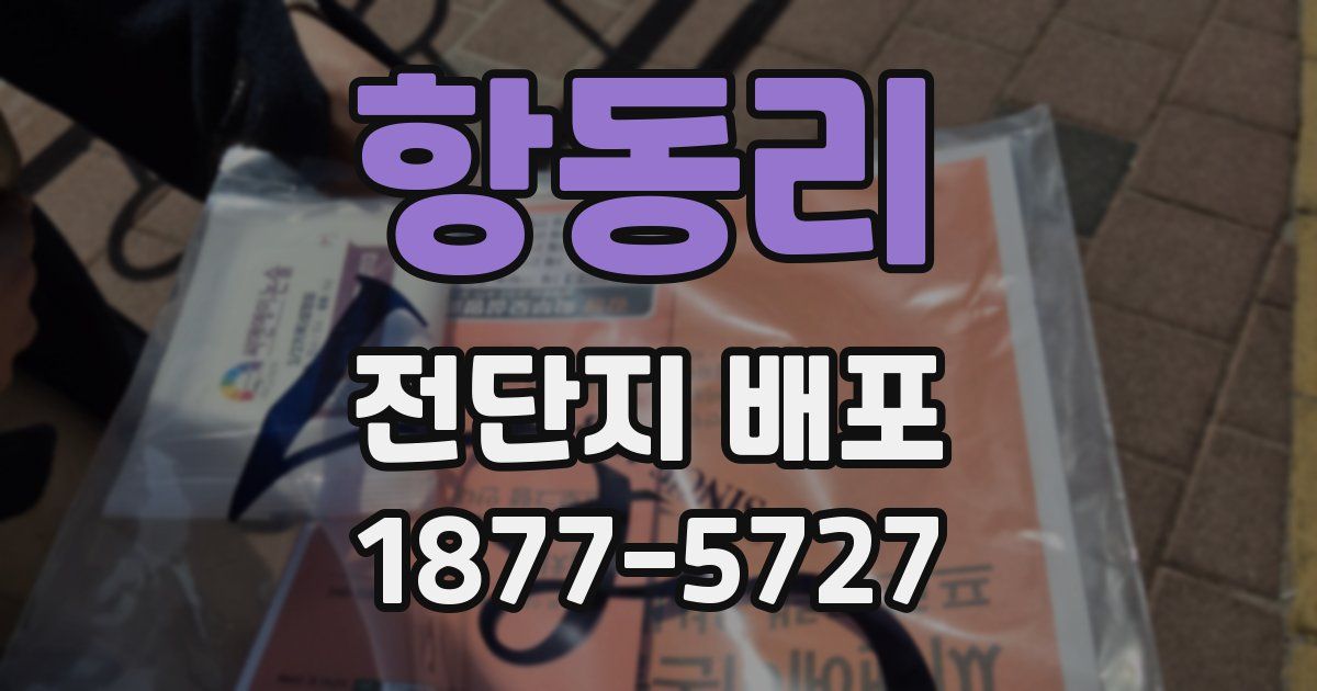 항동리 전단지 배포
