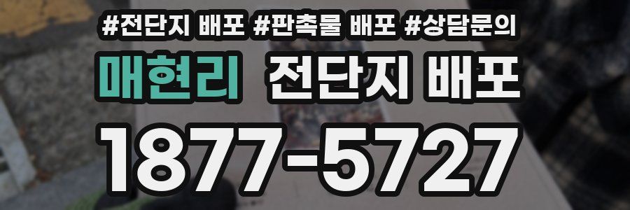 매현리 전단지 배포