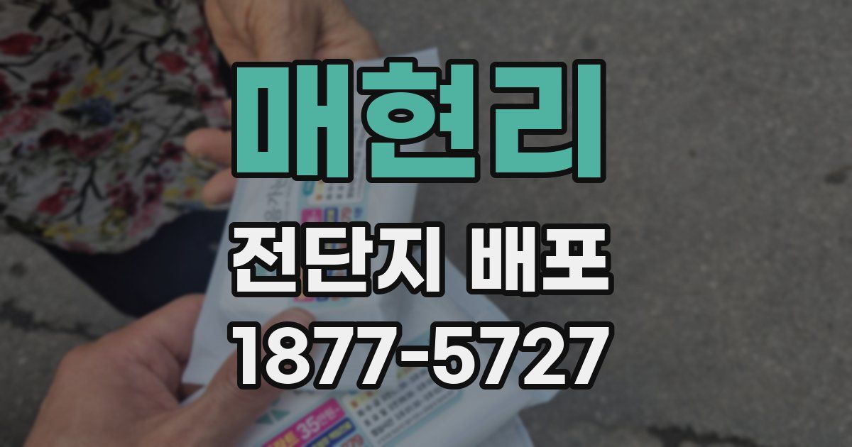 매현리 전단지 배포