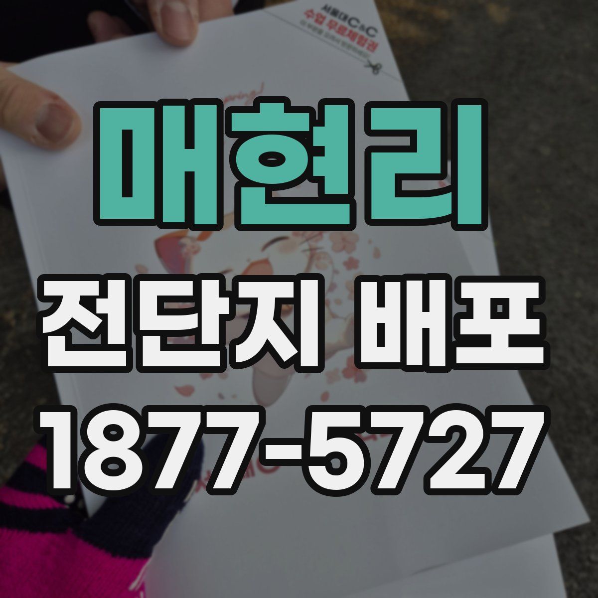 매현리 전단지 배포