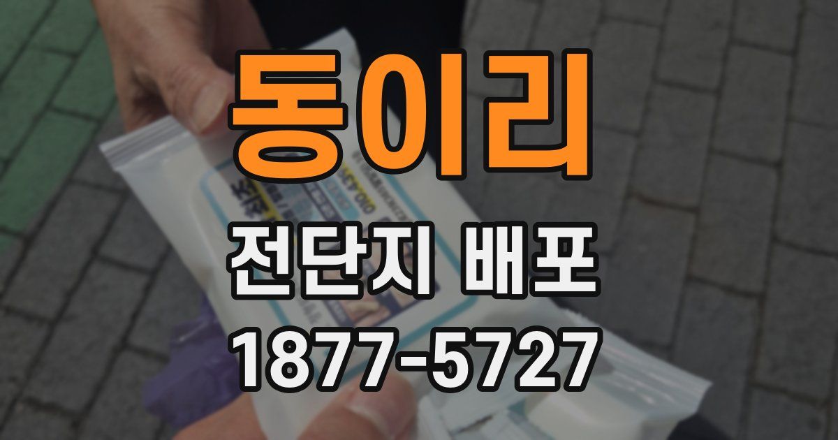 동이리 전단지 배포