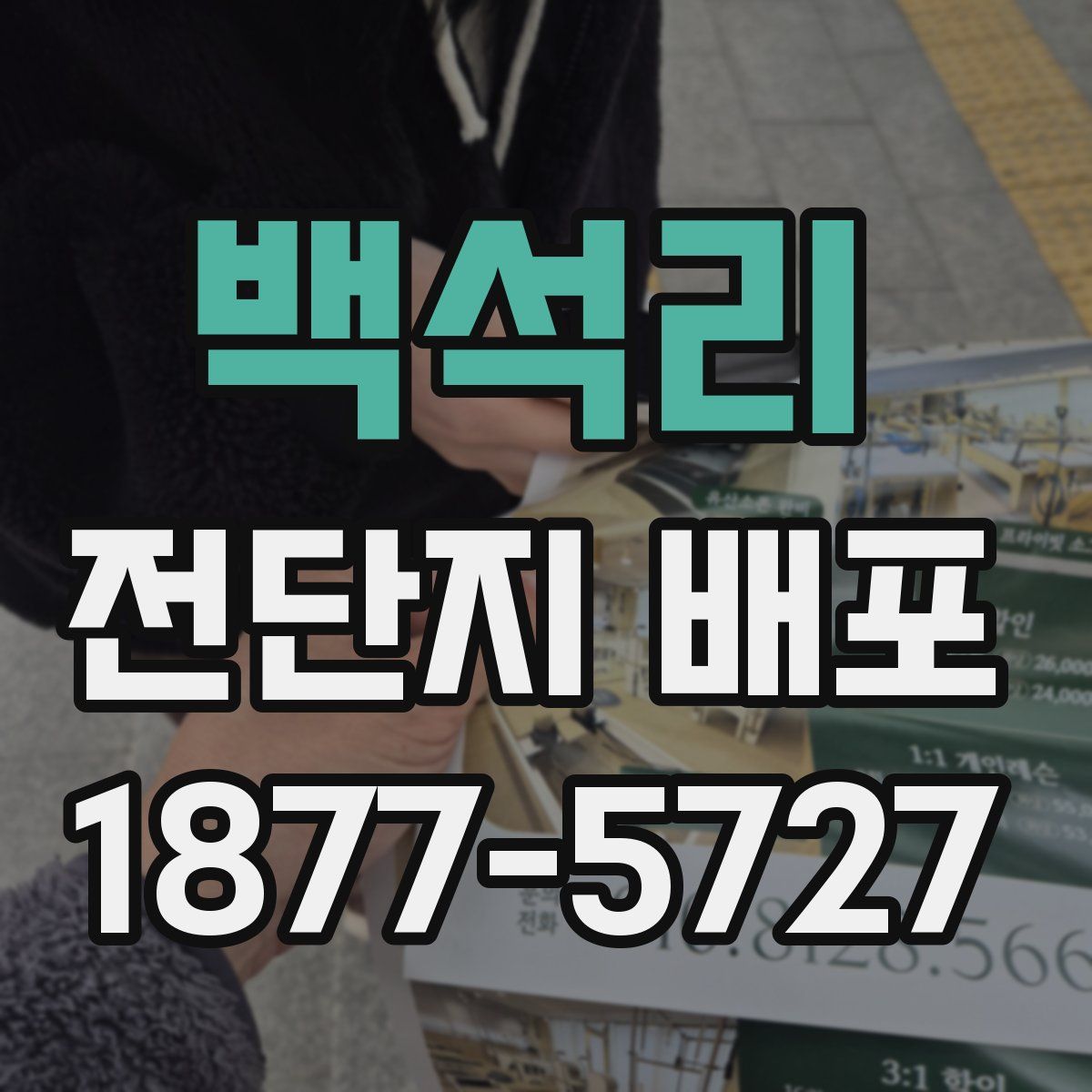 백석리 전단지 배포
