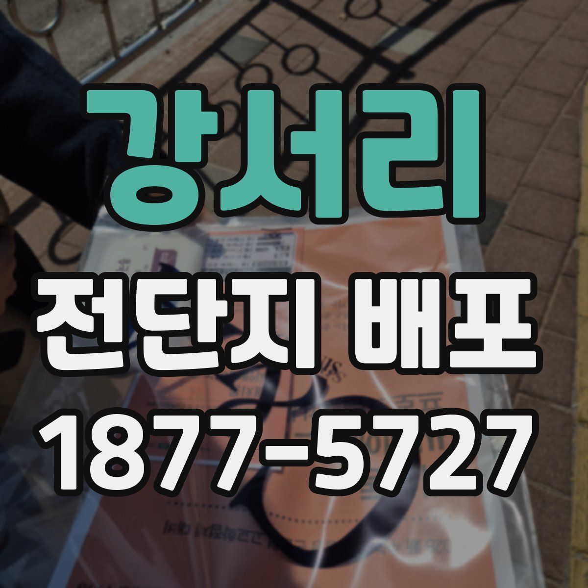 강서리 전단지 배포
