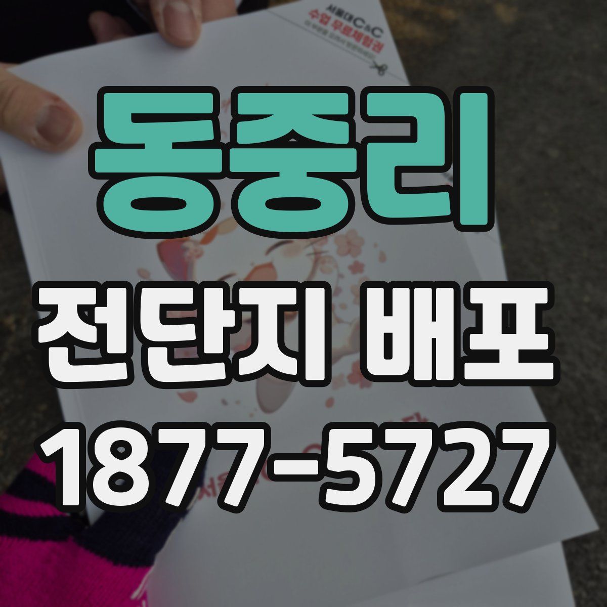 동중리 전단지 배포