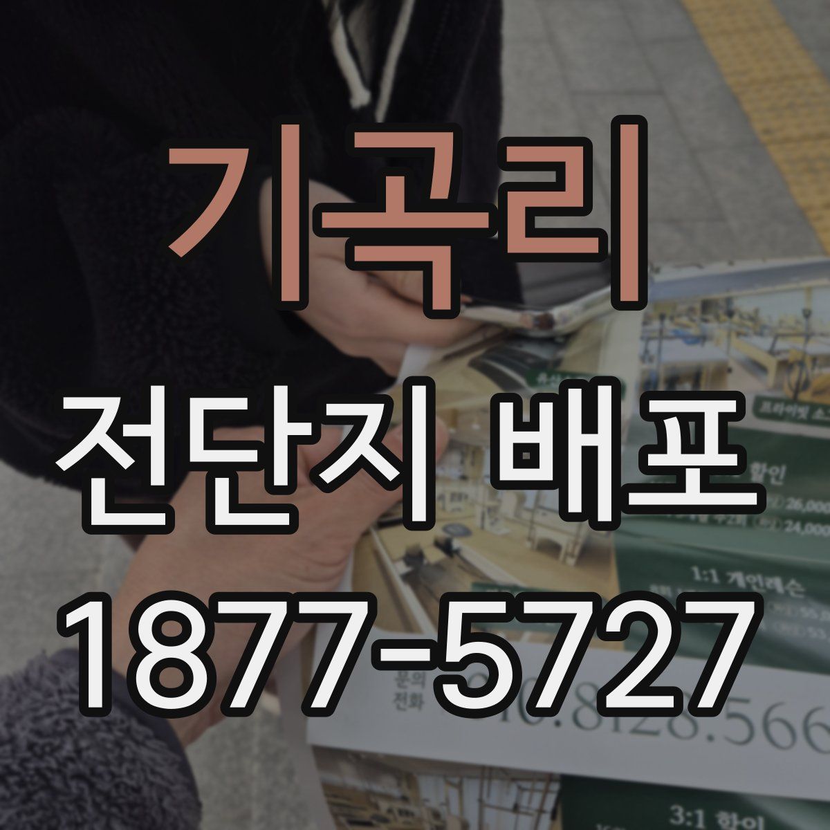 기곡리 전단지 배포