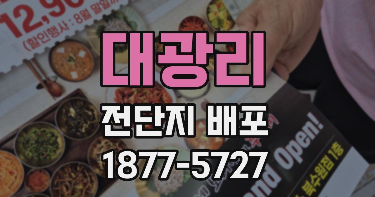 대광리 전단지 배포