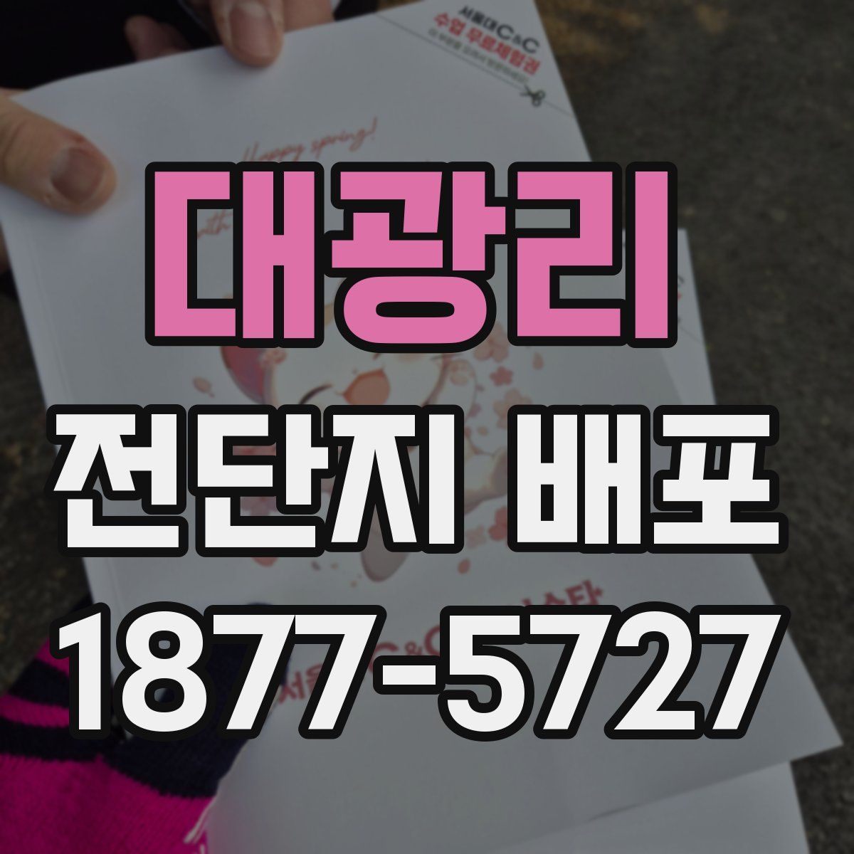 대광리 전단지 배포