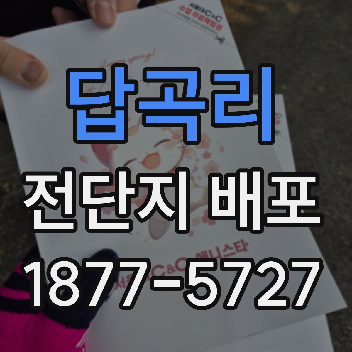 답곡리 전단지 배포