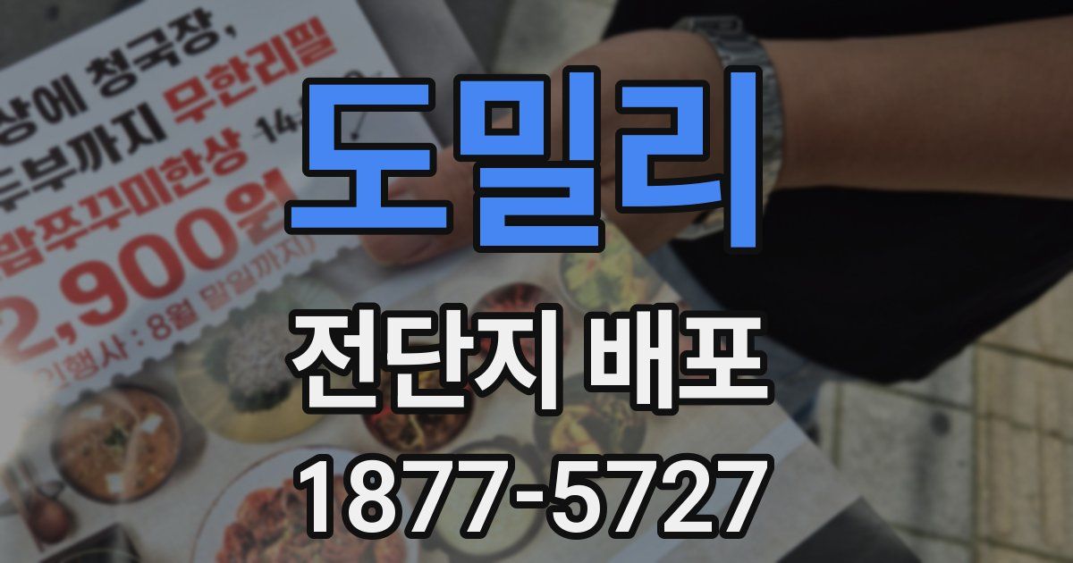 도밀리 전단지 배포