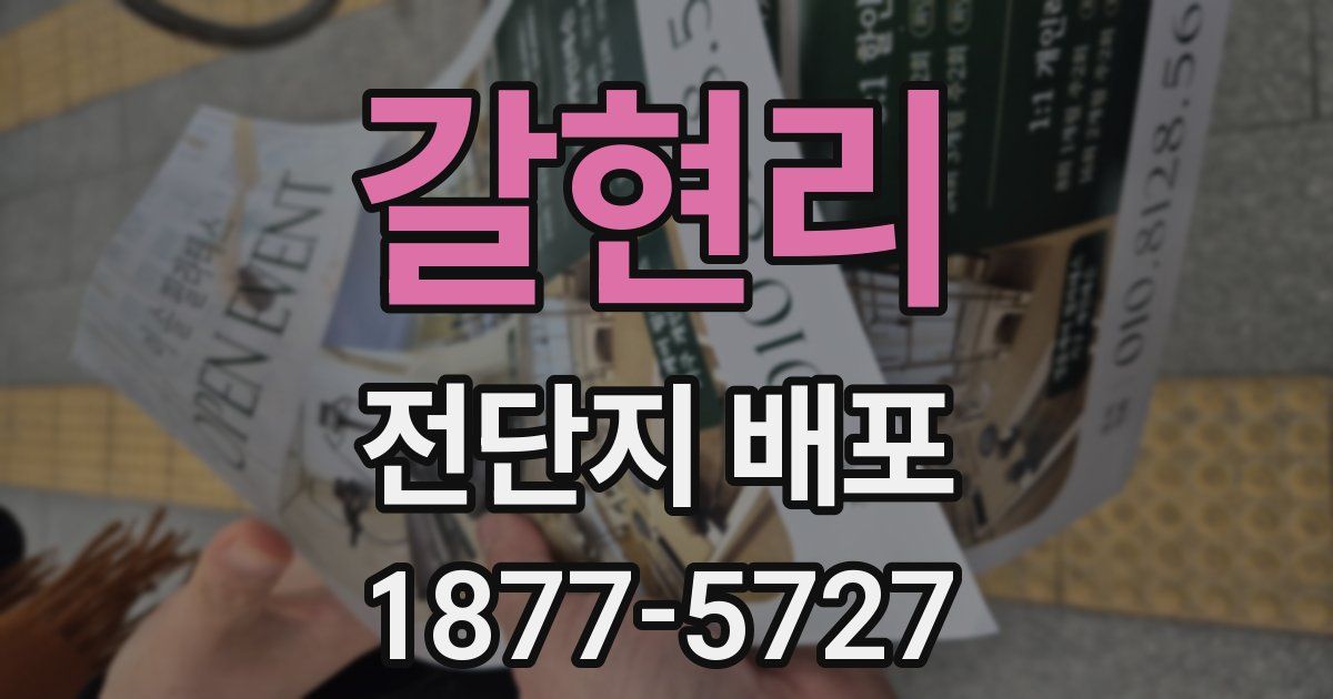 갈현리 전단지 배포