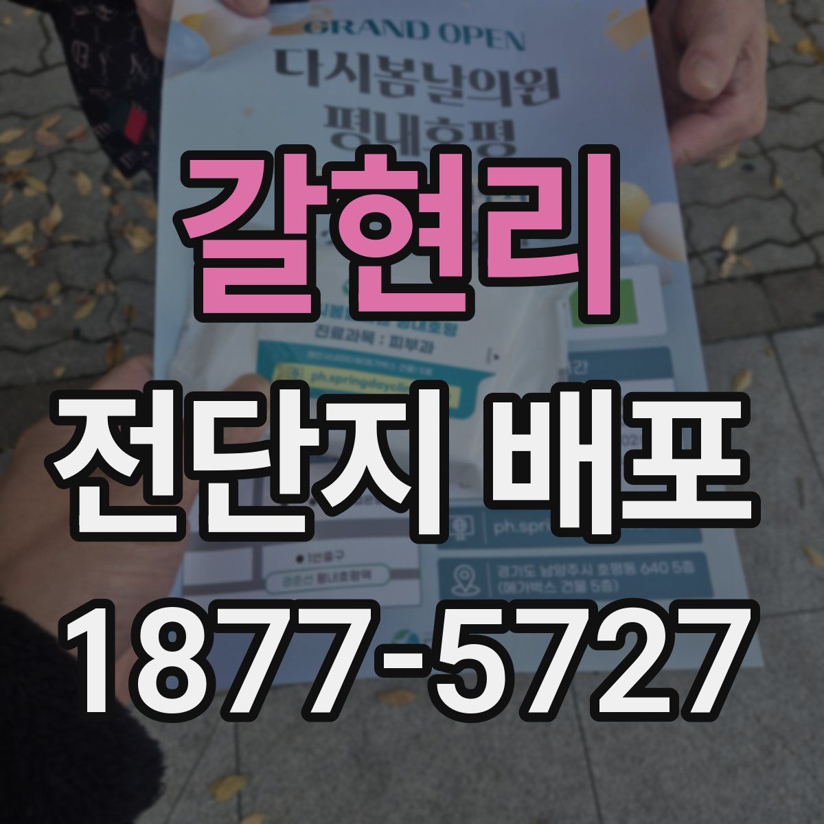 갈현리 전단지 배포