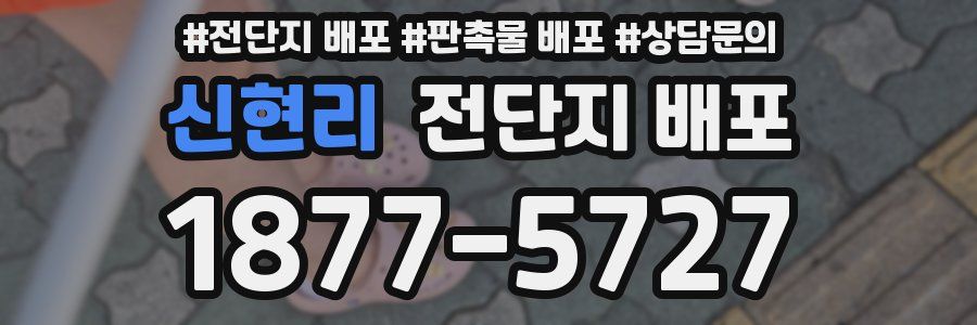 신현리 전단지 배포