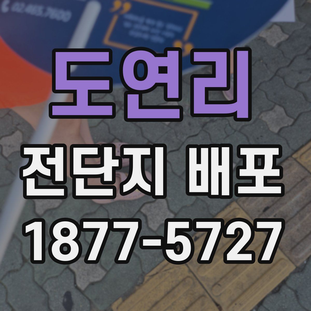 도연리 전단지 배포
