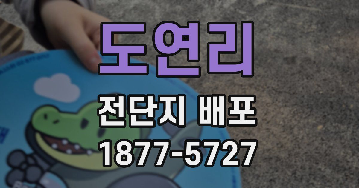 도연리 전단지 배포