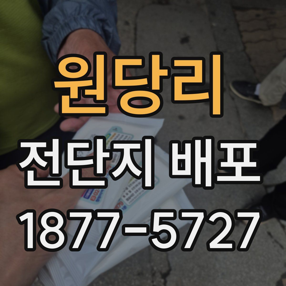 원당리 전단지 배포