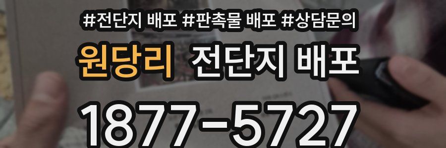 원당리 전단지 배포