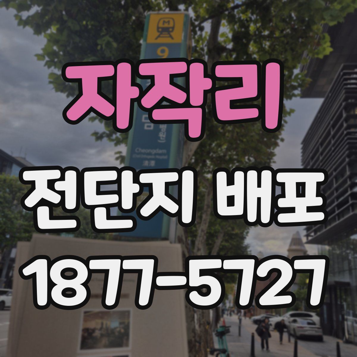 자작리 전단지 배포