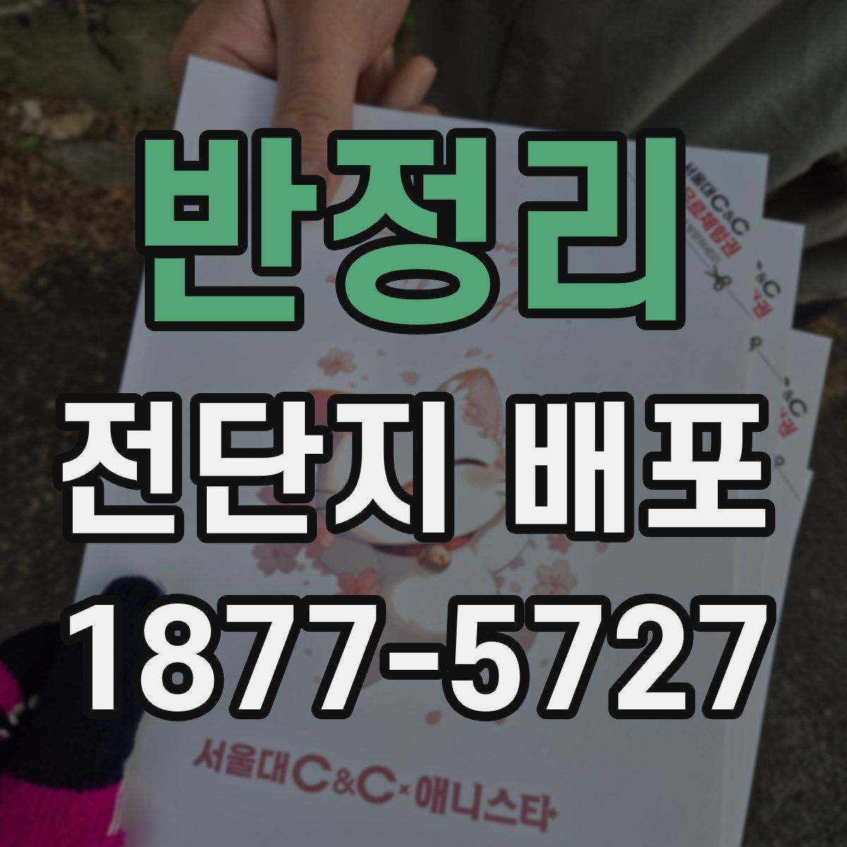 반정리 전단지 배포