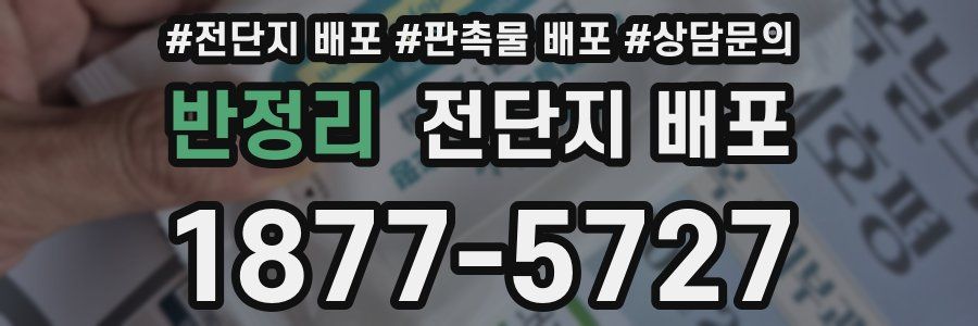 반정리 전단지 배포