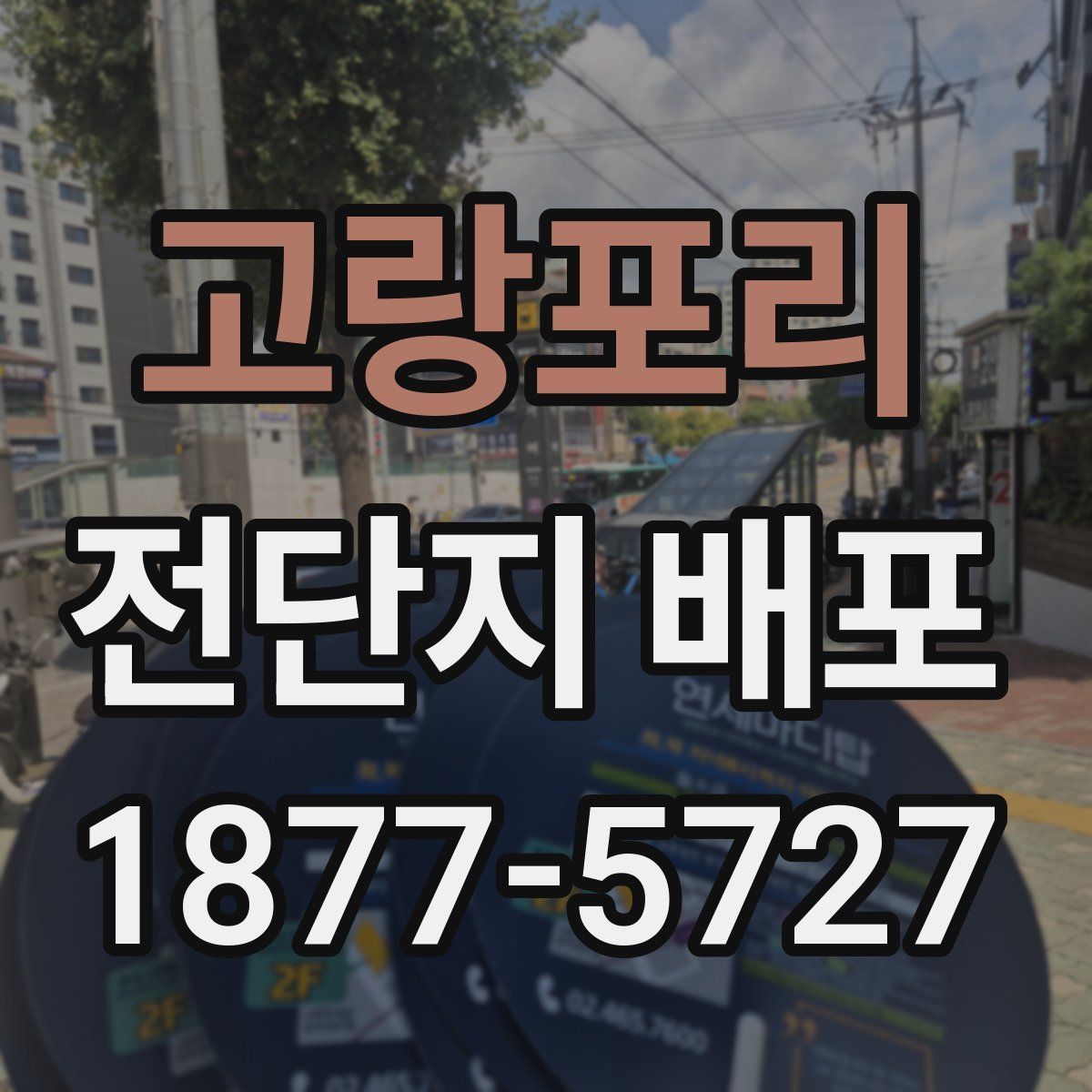 고랑포리 전단지 배포