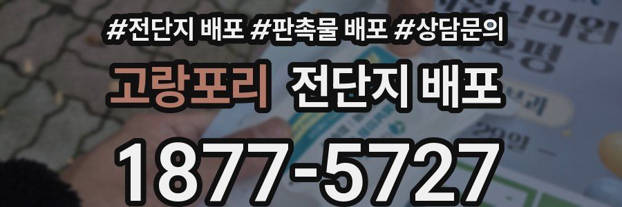 고랑포리 전단지 배포