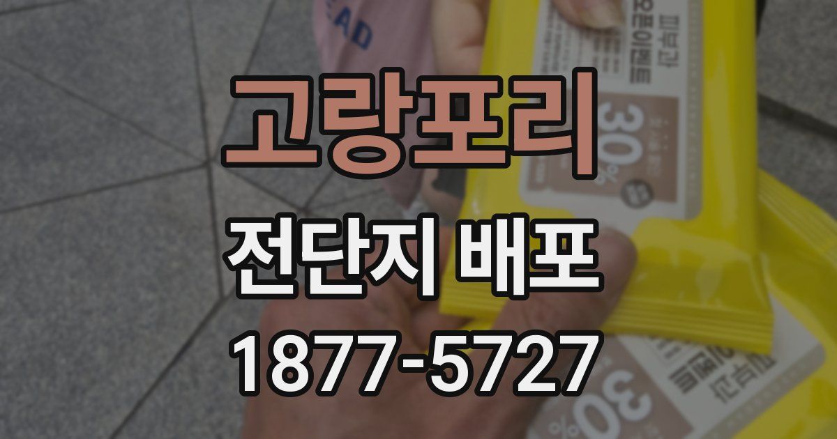 고랑포리 전단지 배포