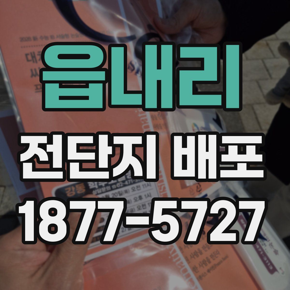 읍내리 전단지 배포