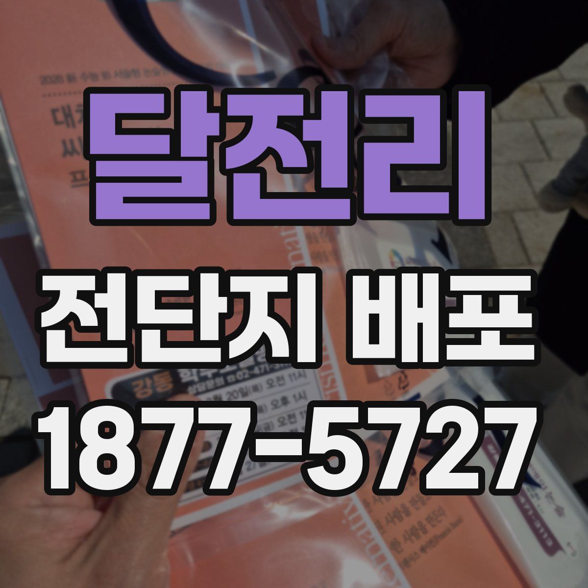 달전리 전단지 배포