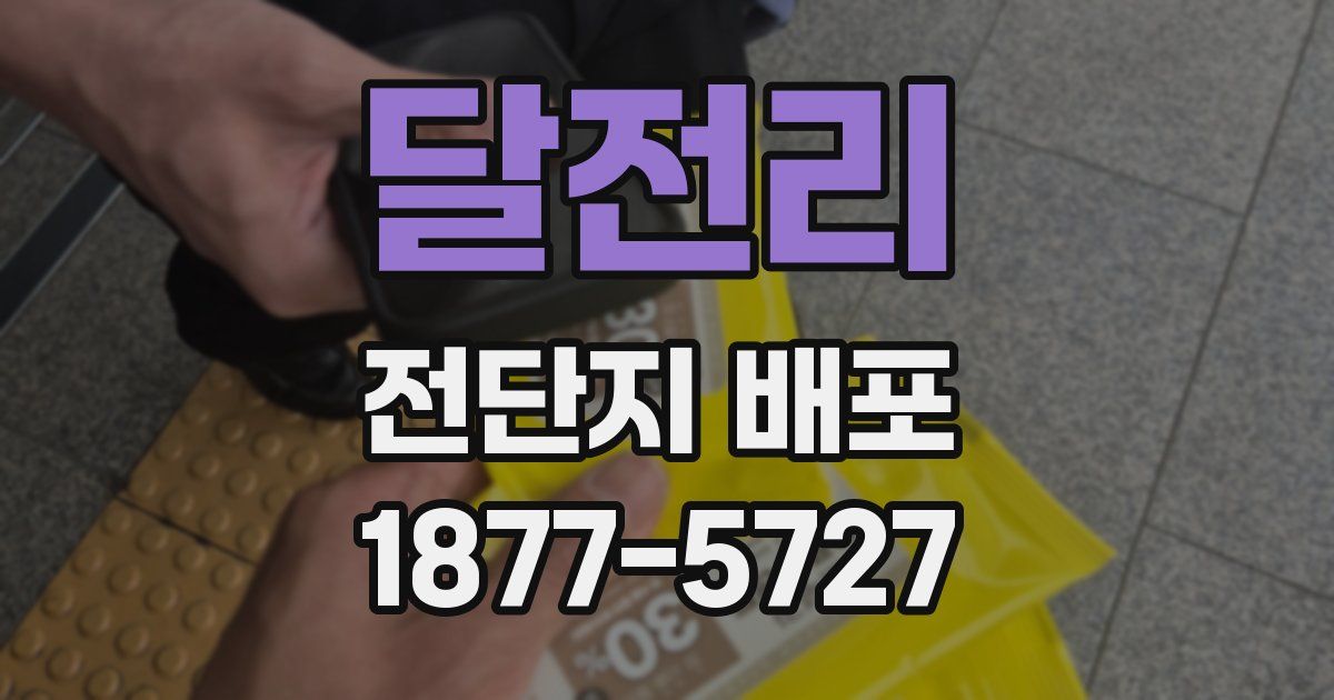 달전리 전단지 배포