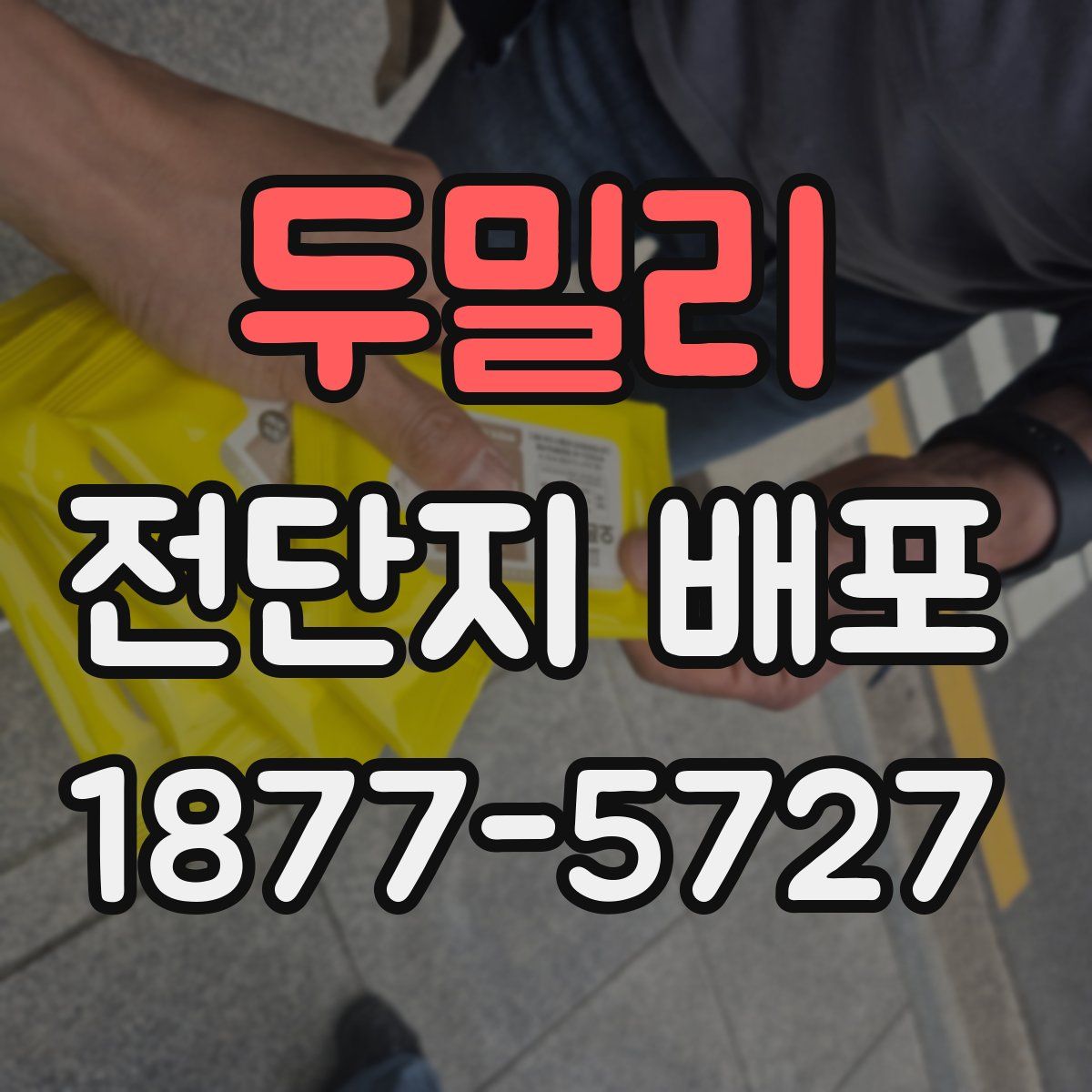 두밀리 전단지 배포