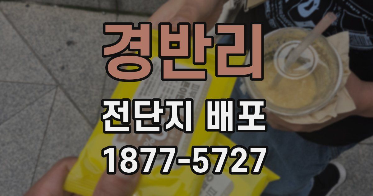 경반리 전단지 배포