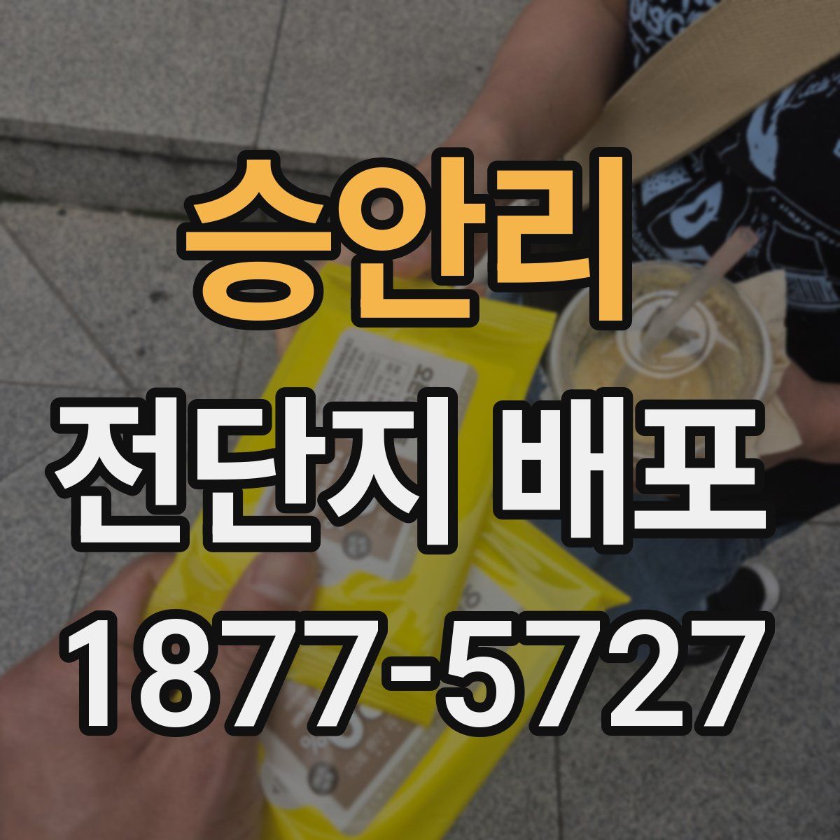 승안리 전단지 배포