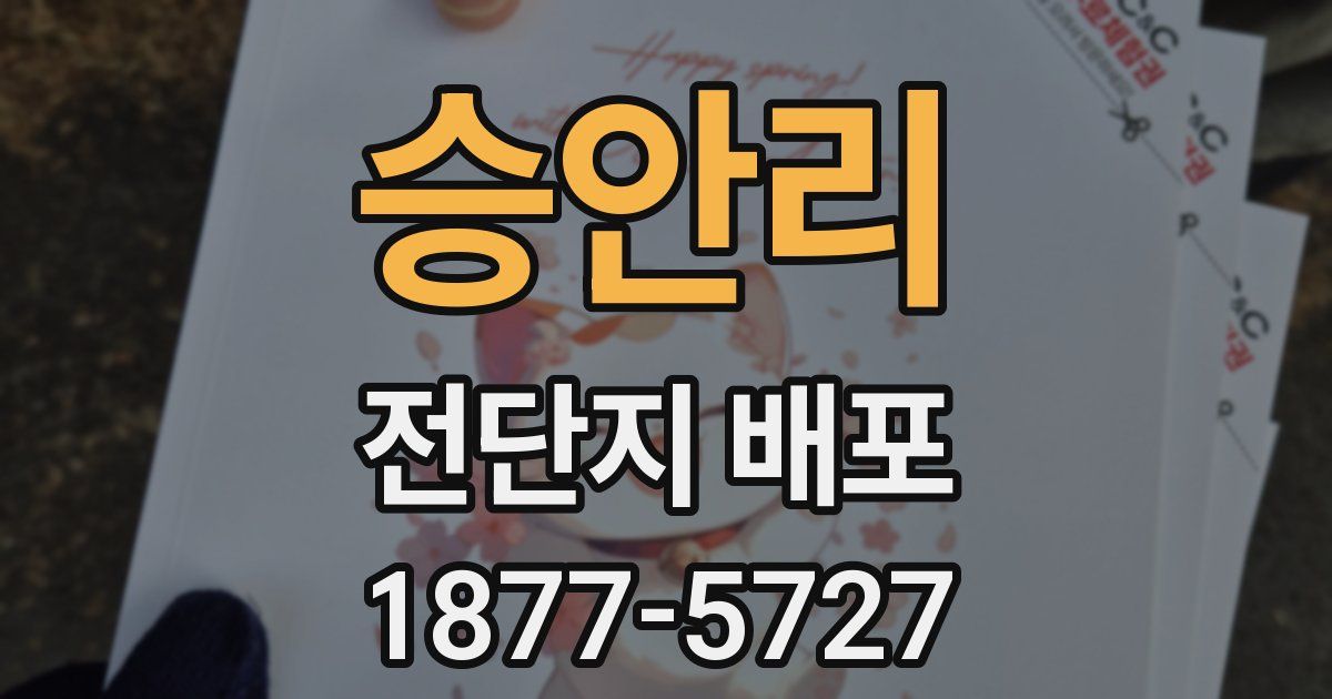승안리 전단지 배포