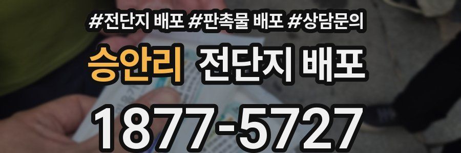 승안리 전단지 배포