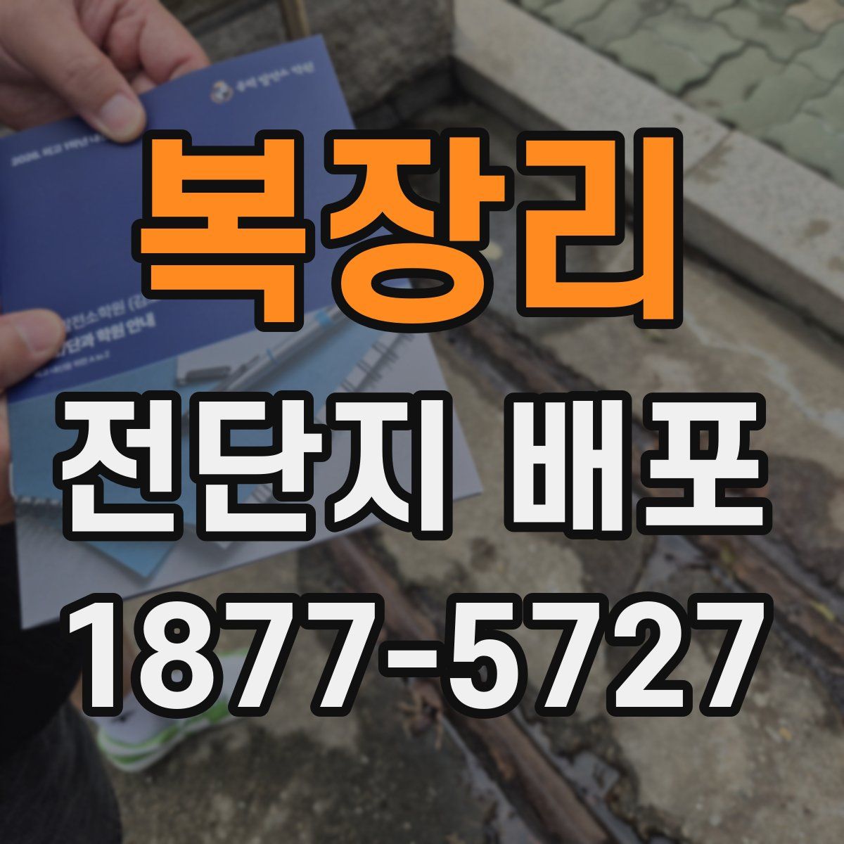 복장리 전단지 배포
