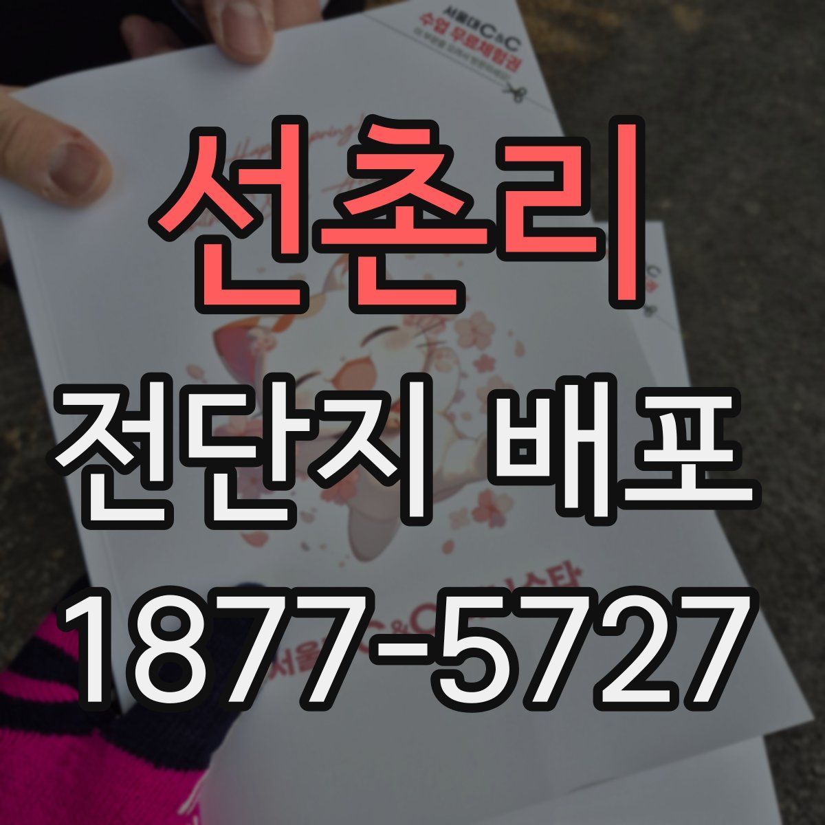 선촌리 전단지 배포