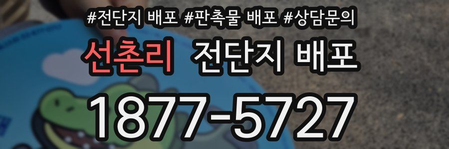 선촌리 전단지 배포