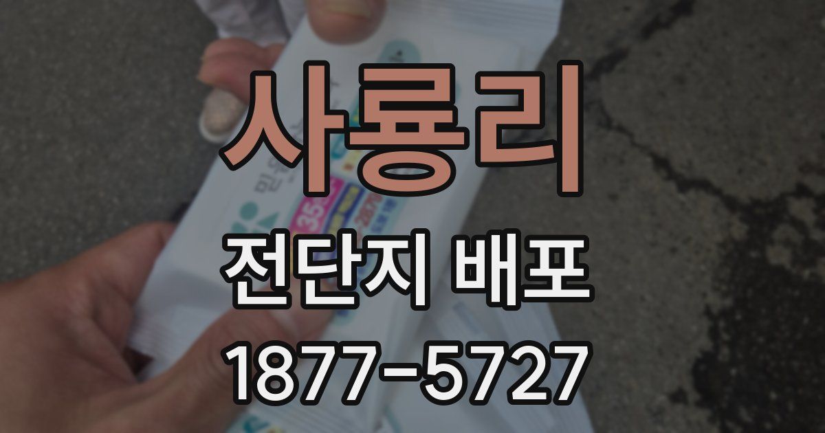 사룡리 전단지 배포