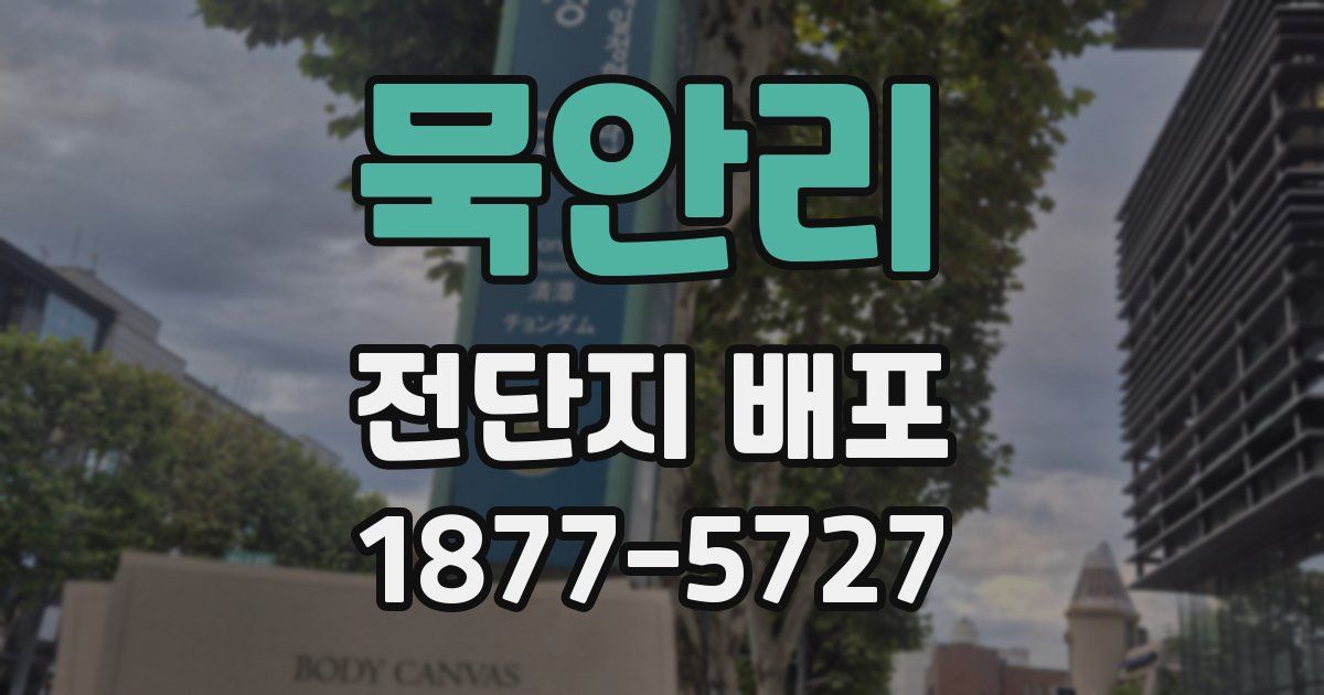 묵안리 전단지 배포