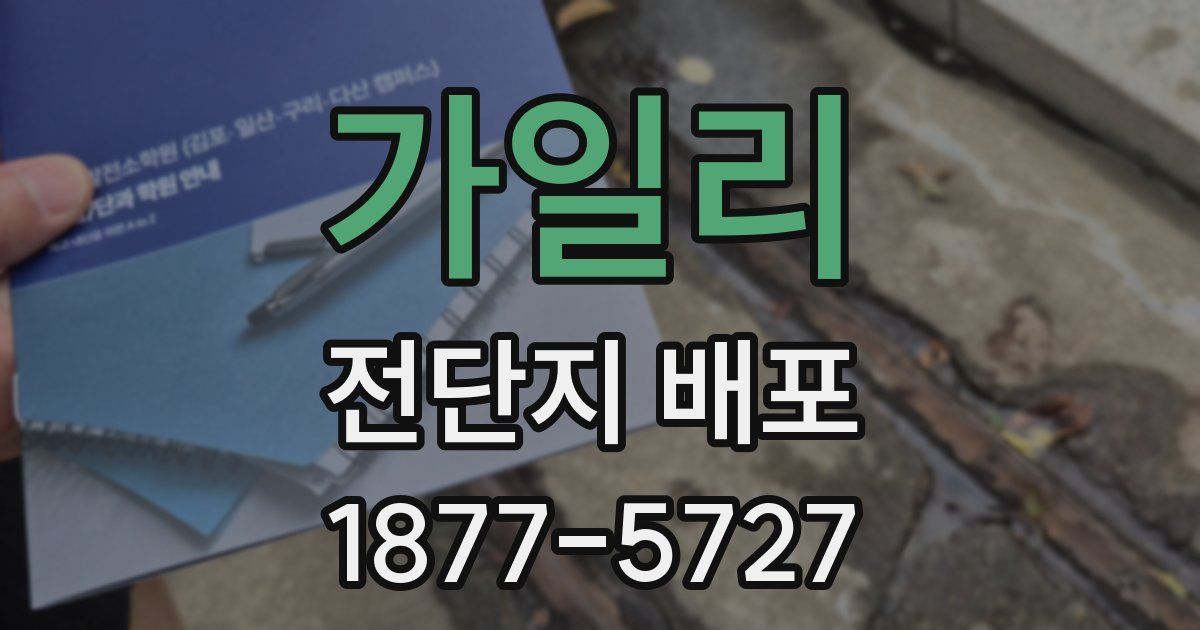 가일리 전단지 배포