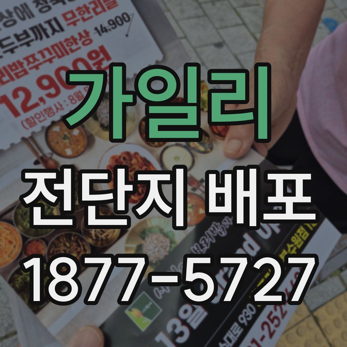 가일리 전단지 배포