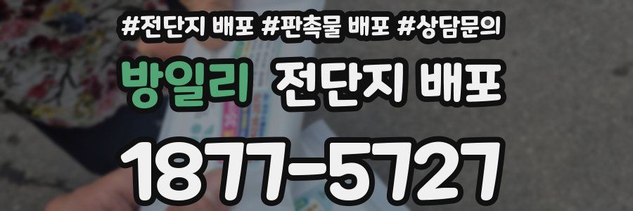 방일리 전단지 배포