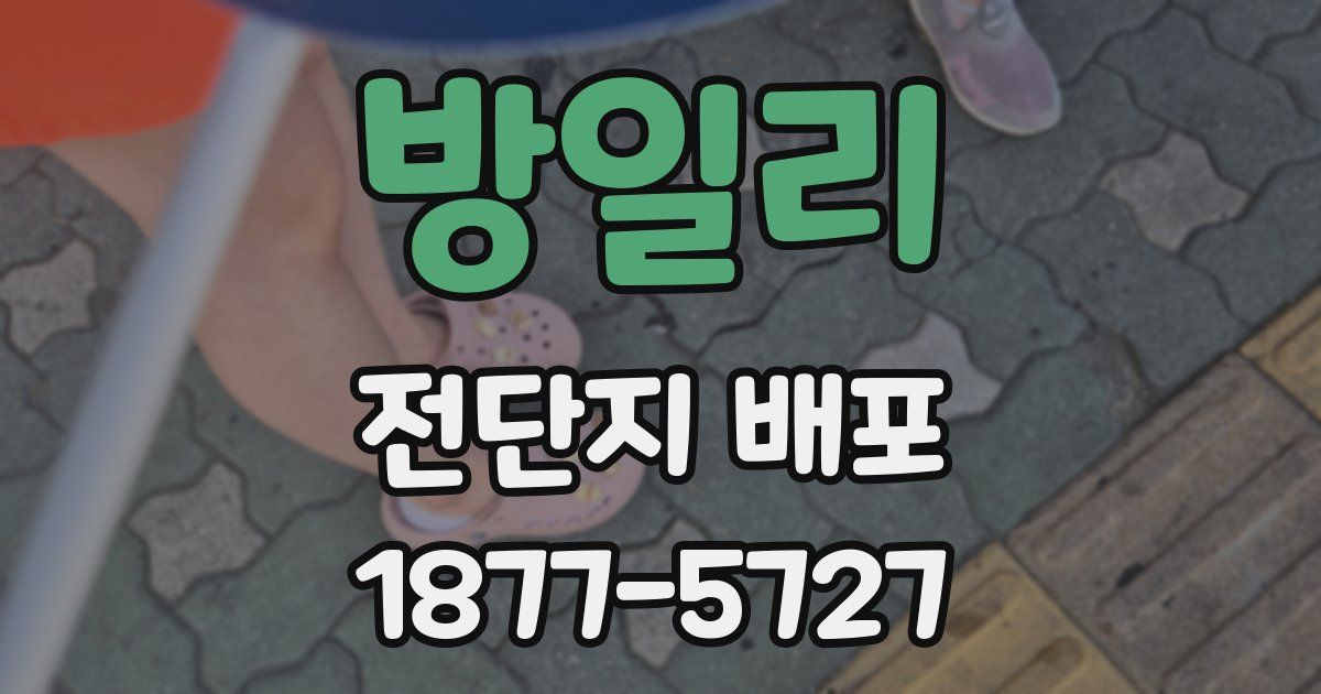 방일리 전단지 배포