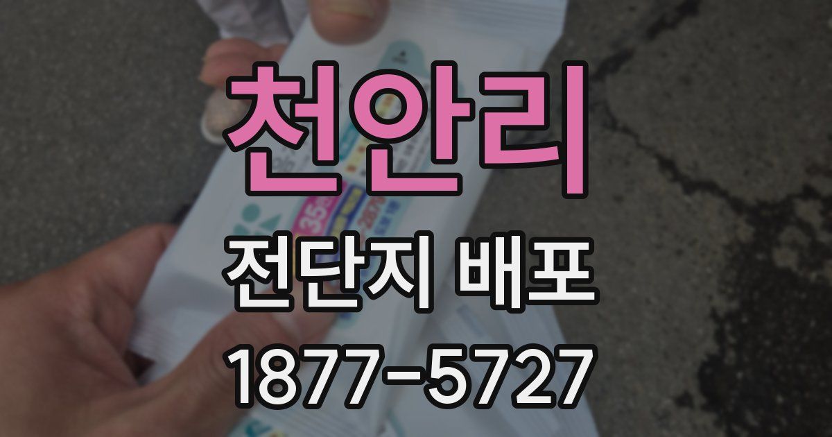 천안리 전단지 배포