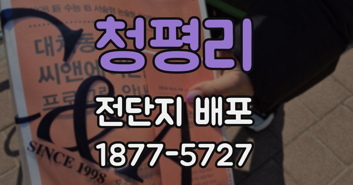 청평리 전단지 배포