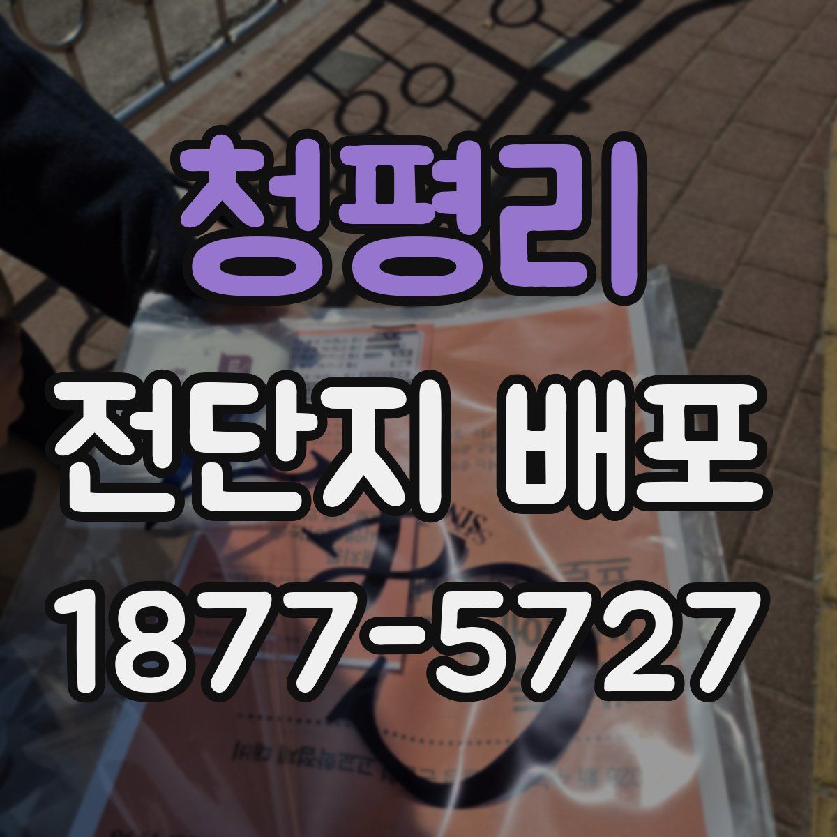 청평리 전단지 배포