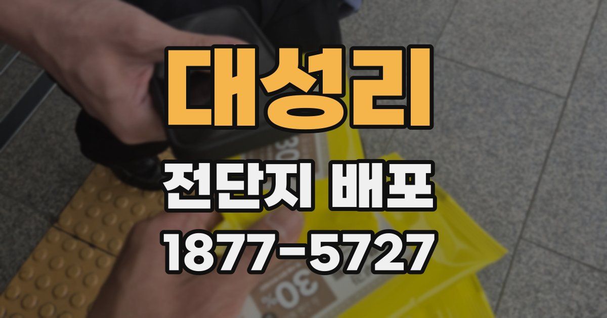 대성리 전단지 배포